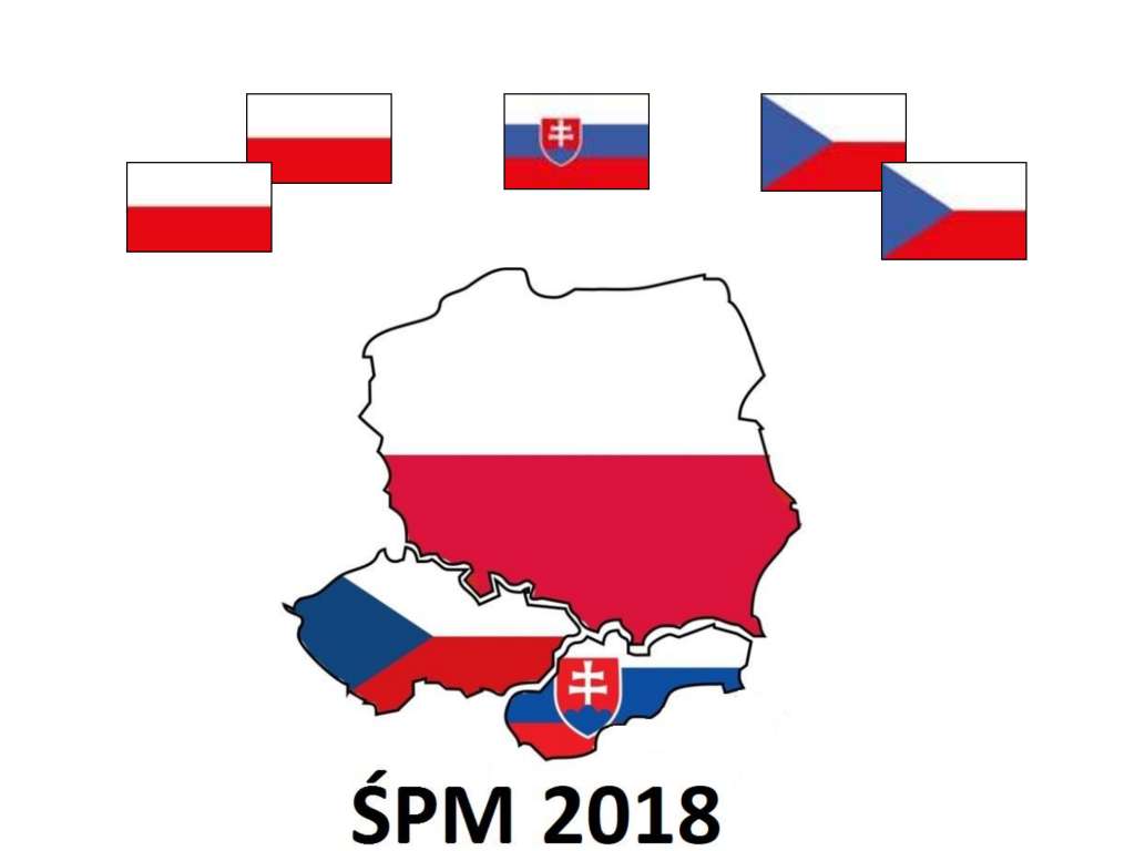 Środkowoeuropejski Puchar Młodzieży w pływaniu w płetwach