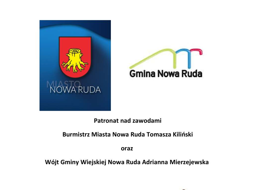 VI Sowiogórskie Zawody Pływackie o Tarczę Wszechstronnego Sprintera w Wyścigach Australijskich