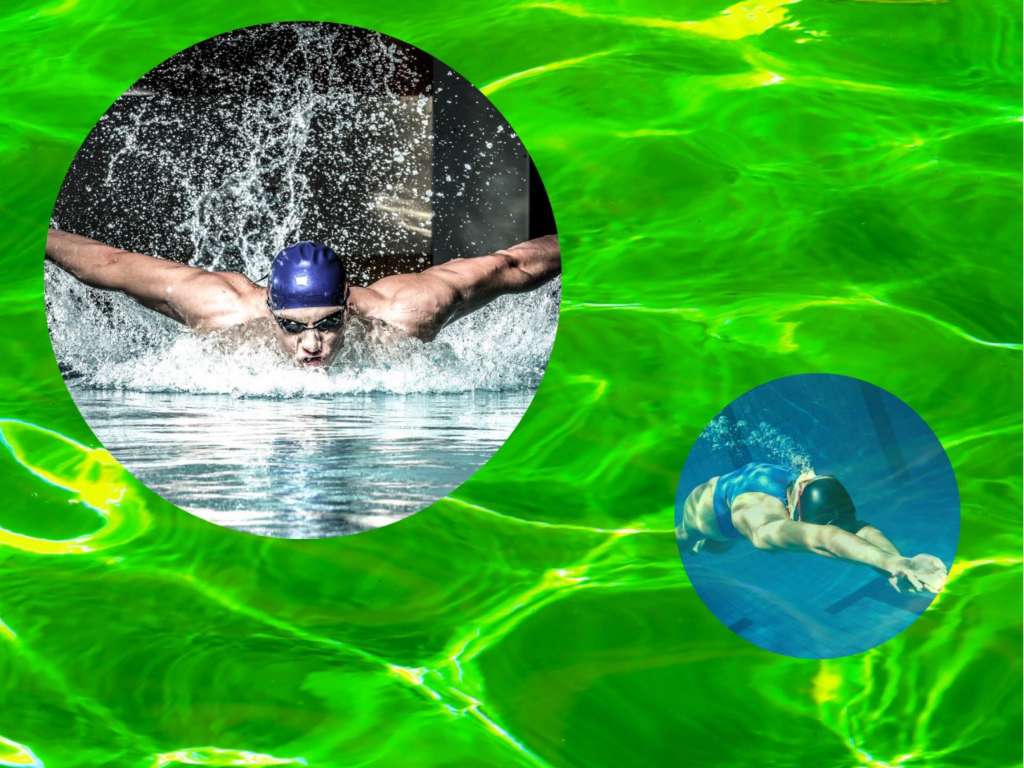 Wojewódzka Liga Dzieci i Młodzików - I runda